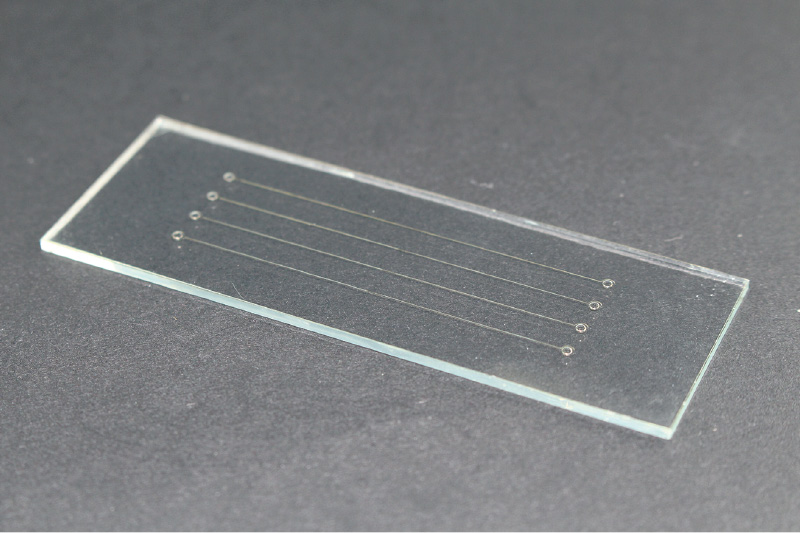 microfluidic chip