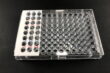 microplate, memo label, 96-well