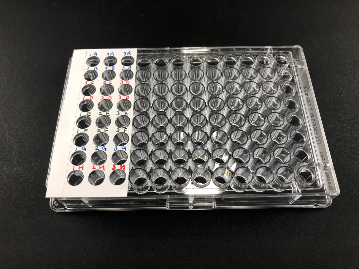 microplate, memo label, 96-well