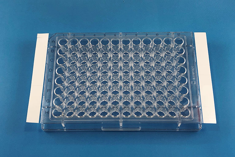 microplate, seal, 12-well
