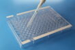 microplate, seal, 8-well