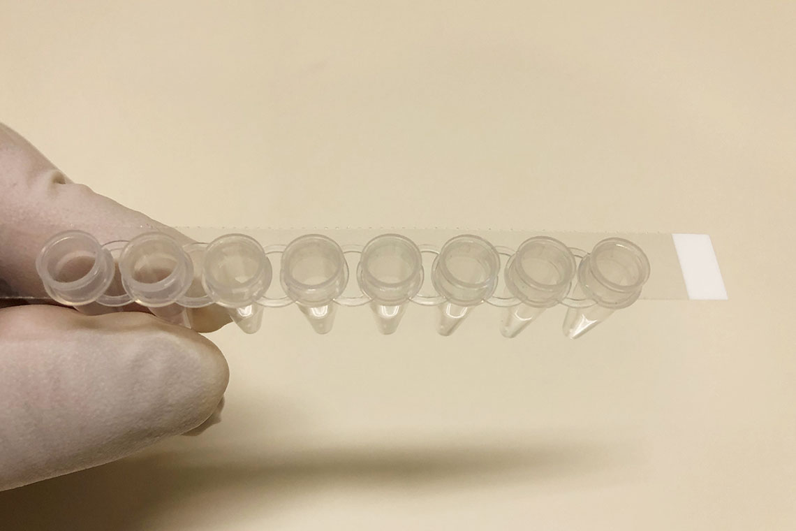 PCR, tube, 8-strip