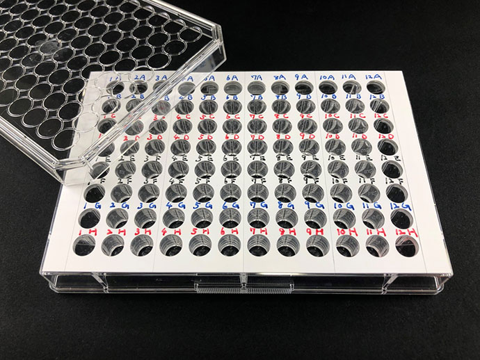 microplate, memo label, 96-well