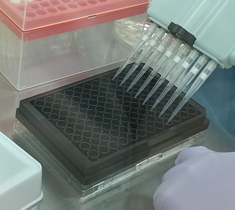 microplate, cell, multichannel pipette