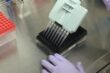 microplate, cell, multichannel pipette