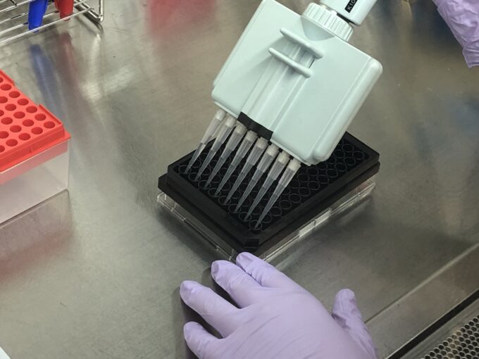 microplate, cell, multichannel pipette