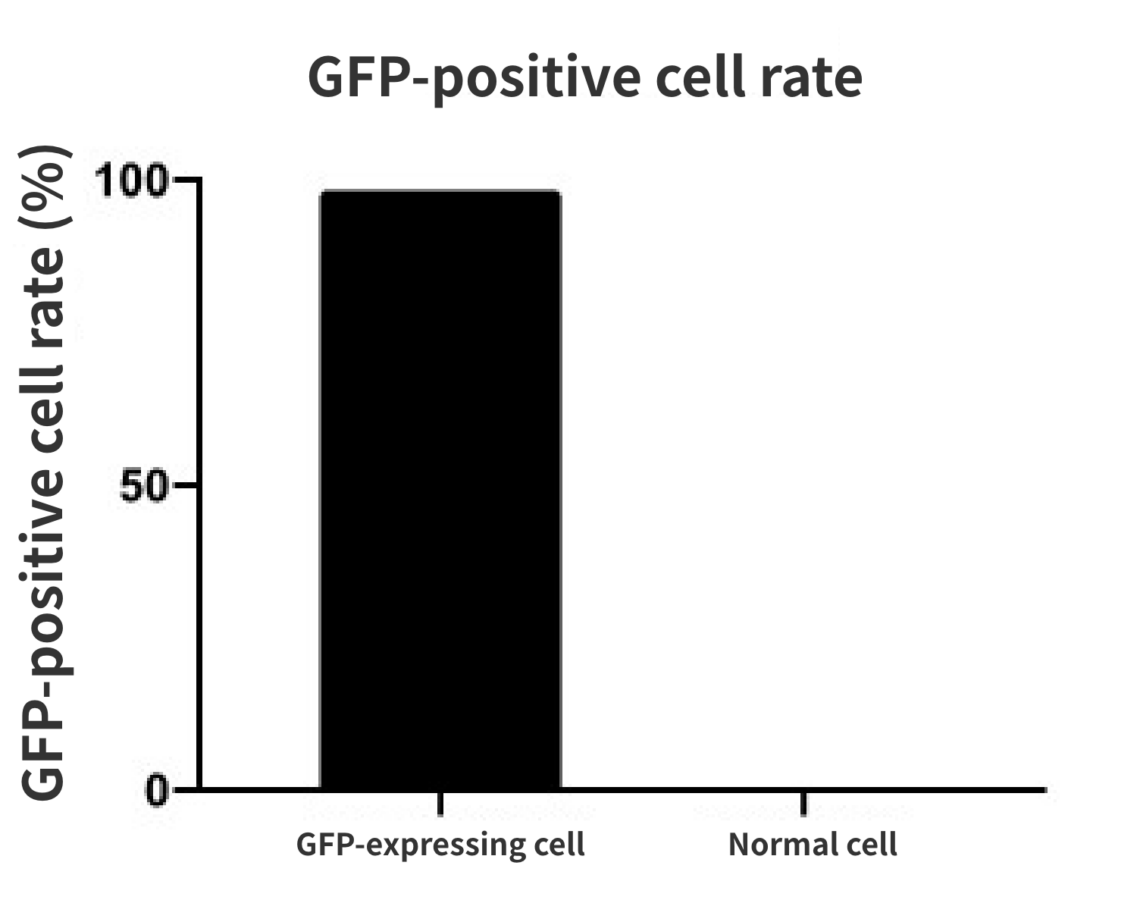 GFP, positive cell, rate