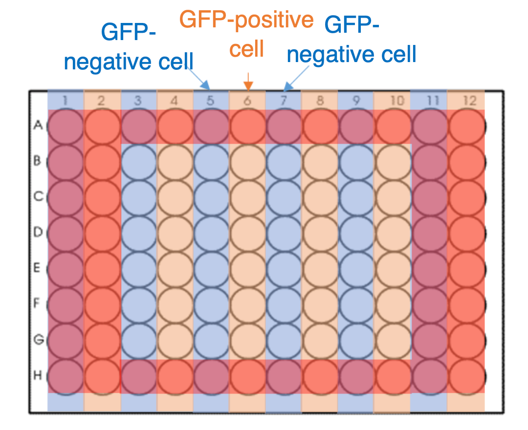 microplate, sample map