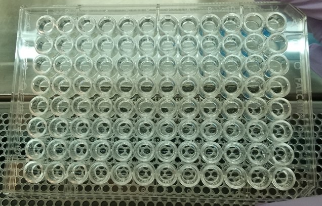 microplate, after centrifuge