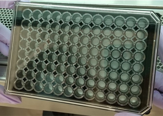 microplate, no cell