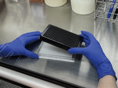 384-well filtration mesh plate, 384-well mesh plate