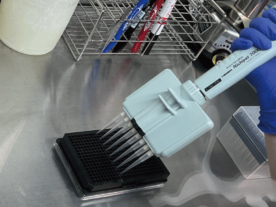 384-well filtration mesh plate, 384-well mesh plate