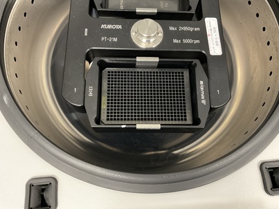 384-well filtration mesh plate, 384-well mesh plate