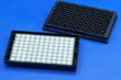 Membrane Bottom Plate