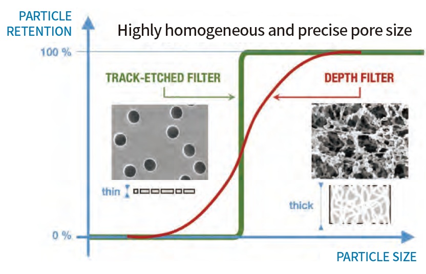 Membrane Bottom Plate